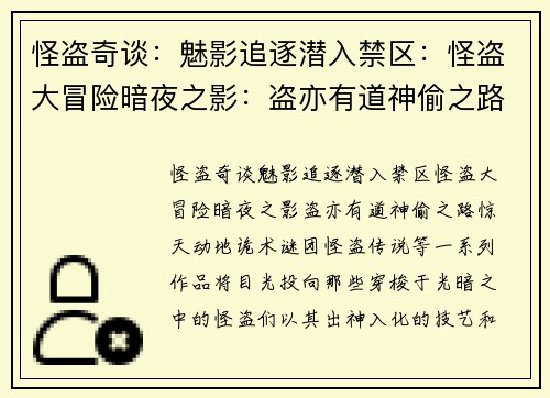 怪盗奇谈：魅影追逐潜入禁区：怪盗大冒险暗夜之影：盗亦有道神偷之路：惊天动地诡术谜团：怪盗传说